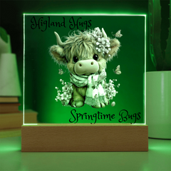 Highland Hugs Springtime Bugs - Acrylic Plaque